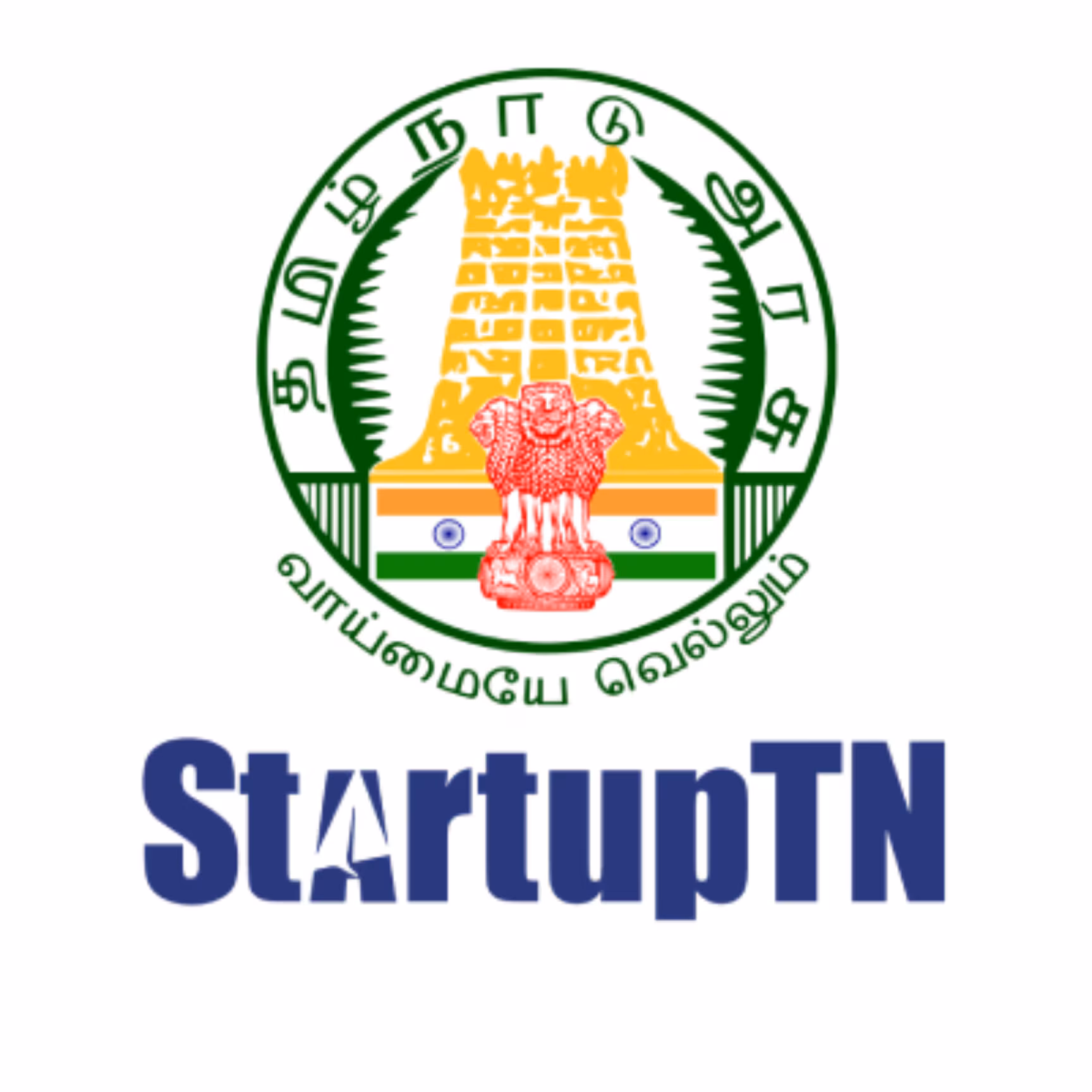 Startup TN
